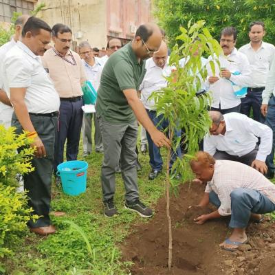 Plantationbysecretarysir